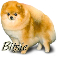 CH Robcary's Bit O My Heart