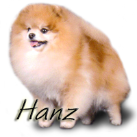 BISS CH RobCary's Devil Made Me Do It NA