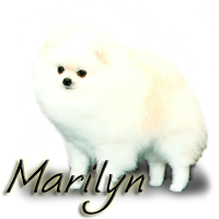 RobCary's Gentlemen Prefer Blondes