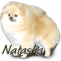 Starfire's RobCary Winter Dream