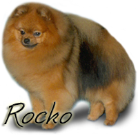 CH RobCary's You Rock My World