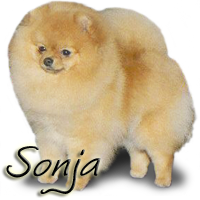 CH RobCary's Song Of My Heart