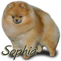 CH RobCary's Song Of My Heart