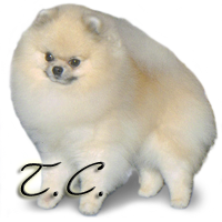 CH Starfire's RobCary Too Cool